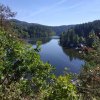 September 2018 Bayerischer Wald